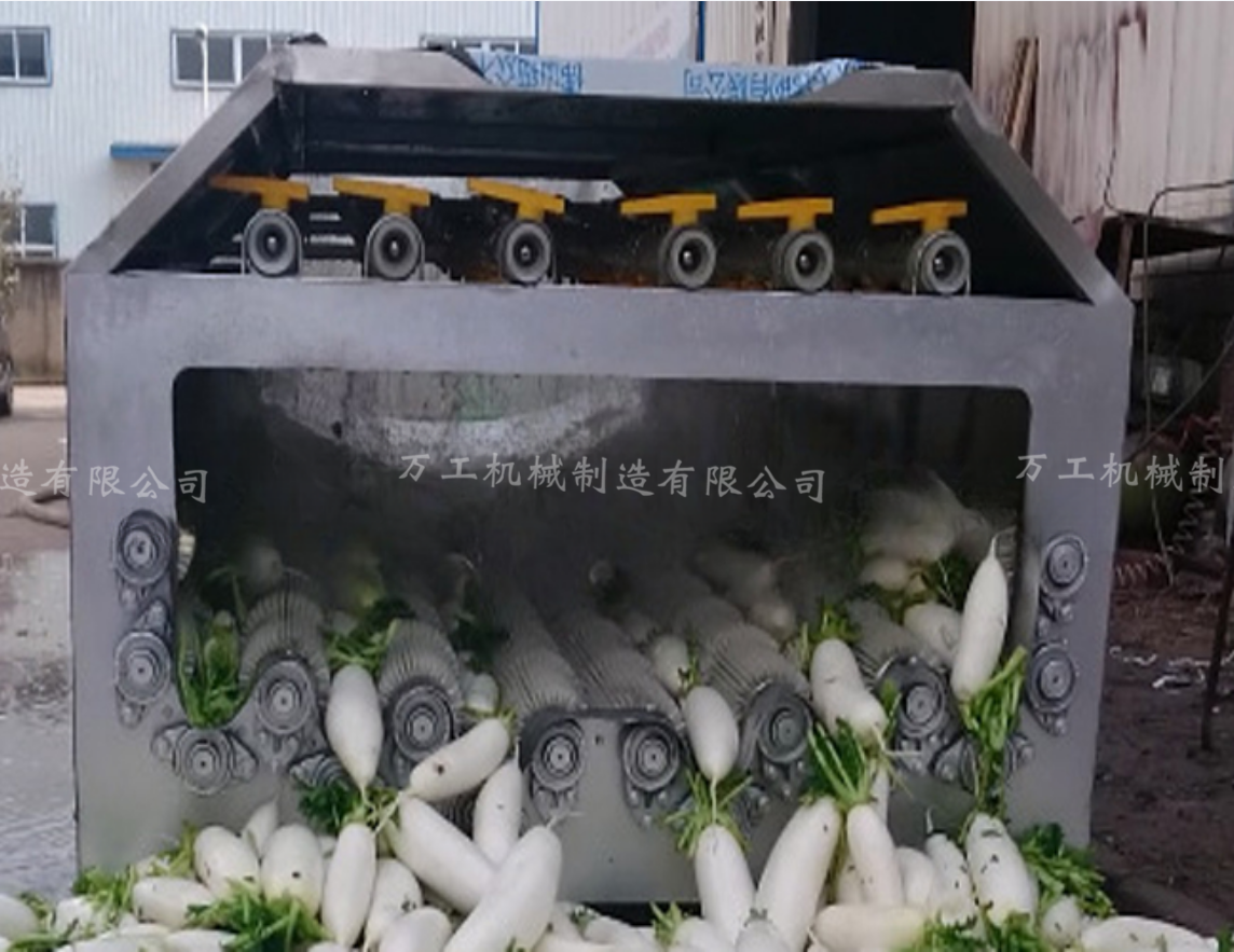 專業(yè)生產(chǎn)滾筒毛刷清洗機 水果蔬菜清洗機